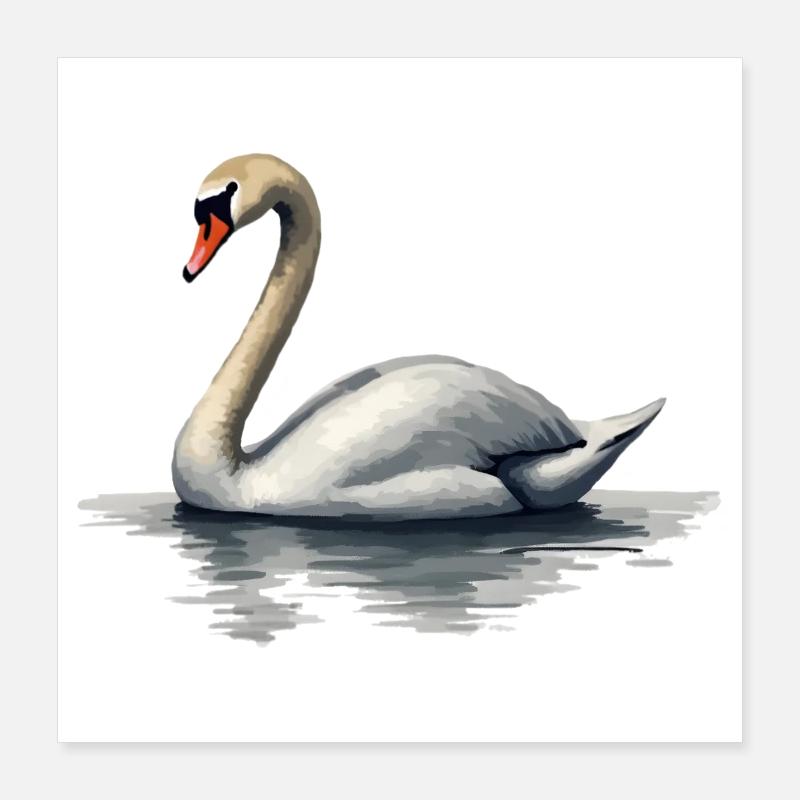 swan Poster 16" x 16" (40x40 cm)
