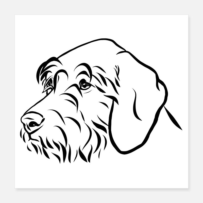 Portrait de chiens de chasse Poster 40 x 40 cm