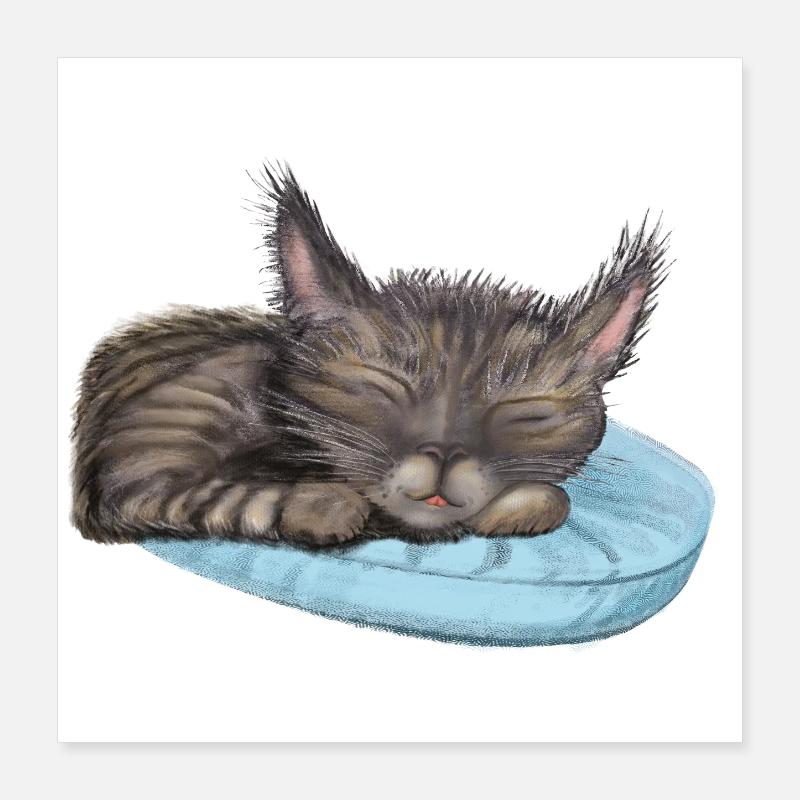 Schlafende Katze Poster 40x40 cm
