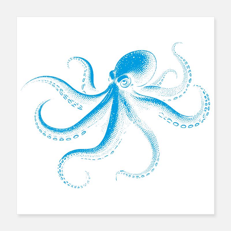 Octopus in Monochrome Poster 16" x 16" (40x40 cm)