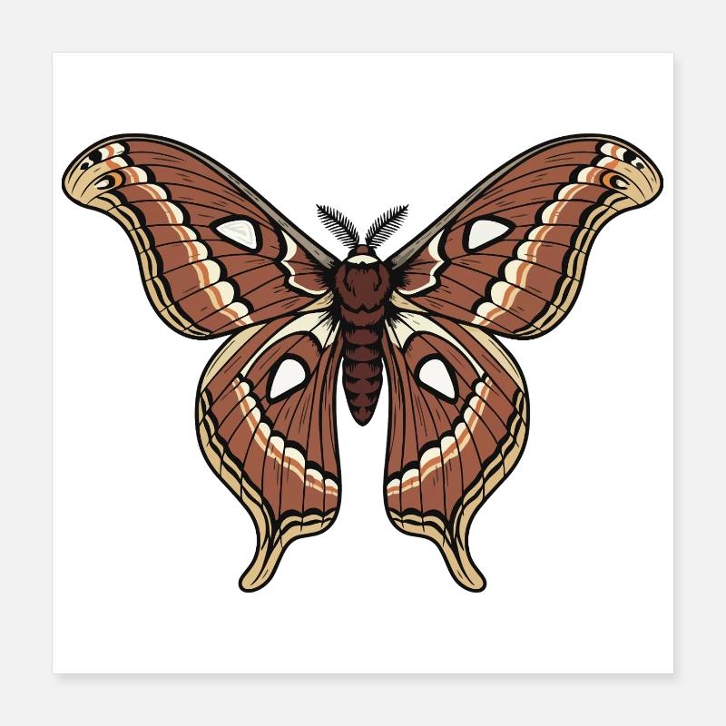 Papillon Polypheme Moth Saturnie Wing Tattoo Poster 40 x 40 cm