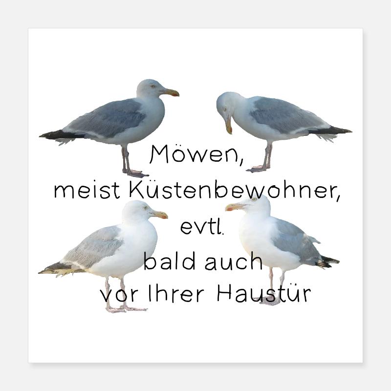 Möwen mit Spruch Poster 40x40 cm
