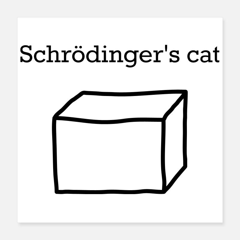 Schrödinger's Cat – Funny Quantum Physics Nerd Poster 16" x 16" (40x40 cm)