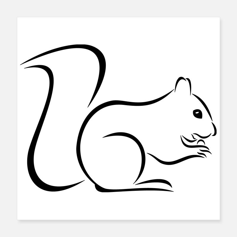 Eichhörnchen Poster 40x40 cm