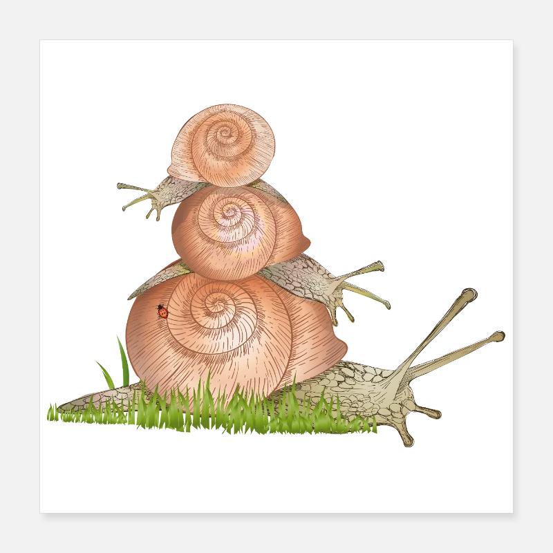 Escargots de vigne en excursion familiale d’escargots Poster 40 x 40 cm