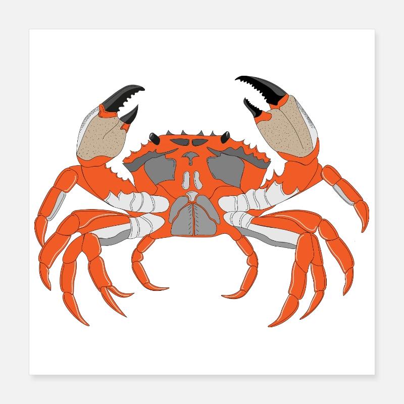 Krabbendruck Poster 40x40 cm