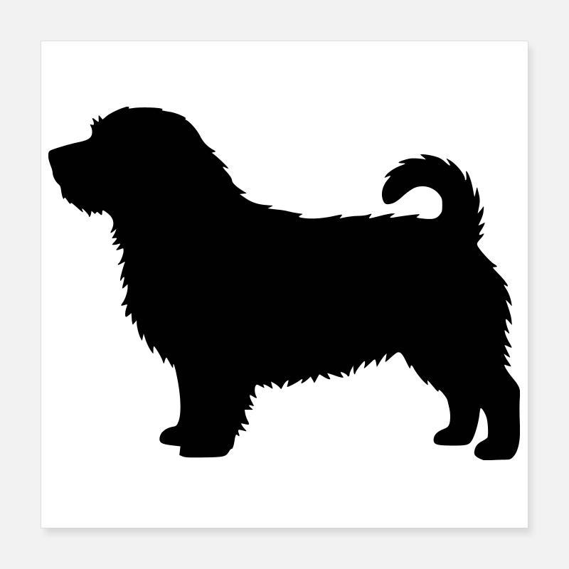 Silhouette du Norfolk Terrier Poster 40 x 40 cm