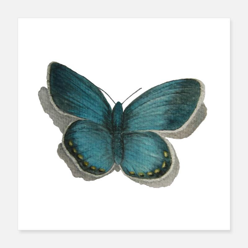papillon Poster 40 x 40 cm