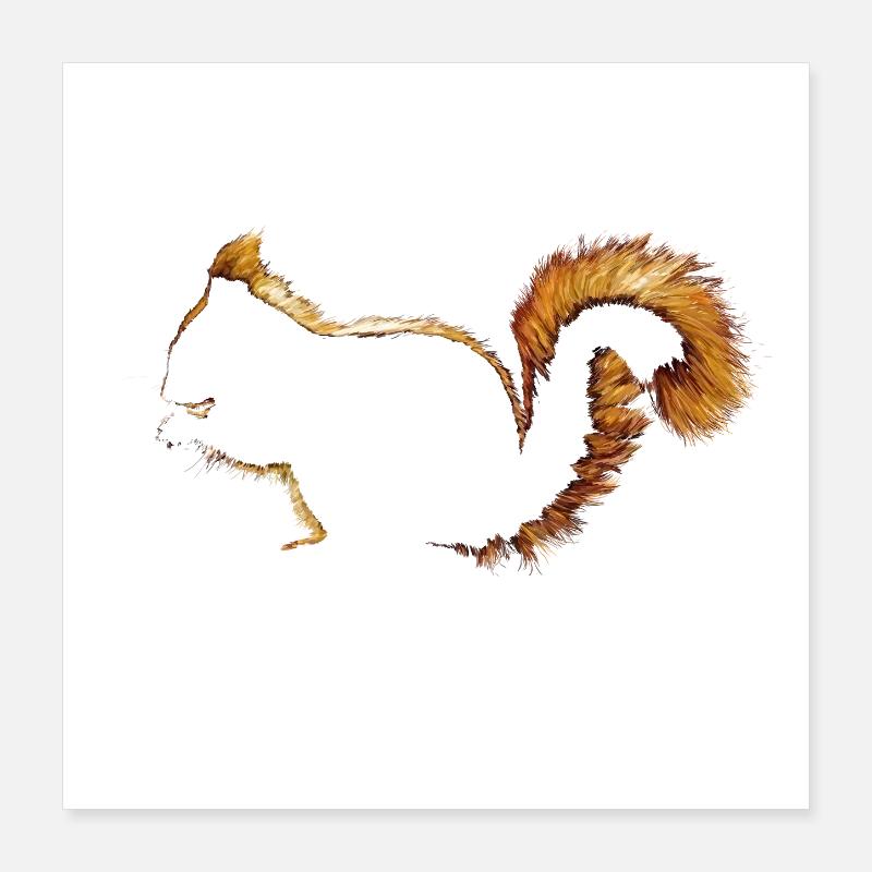 Écureuil Poster 40 x 40 cm