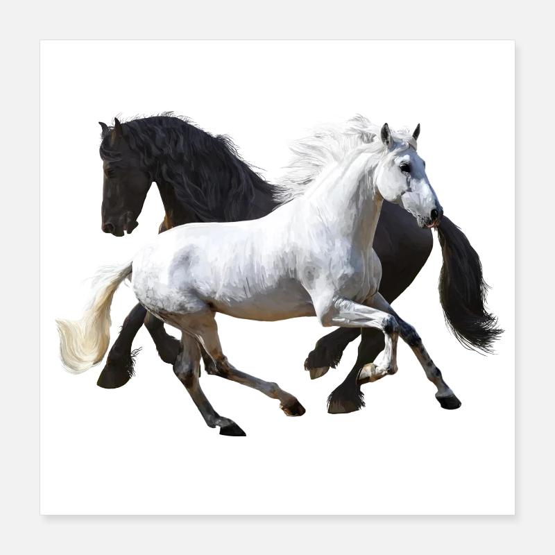 Pferde Poster 40x40 cm