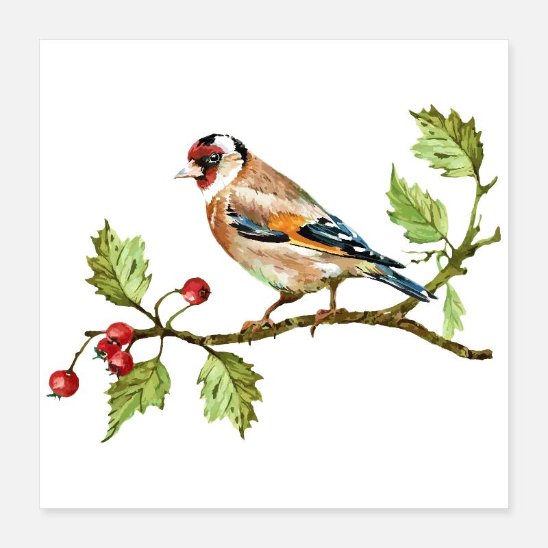 Bunter Vogel Poster 40x40 cm