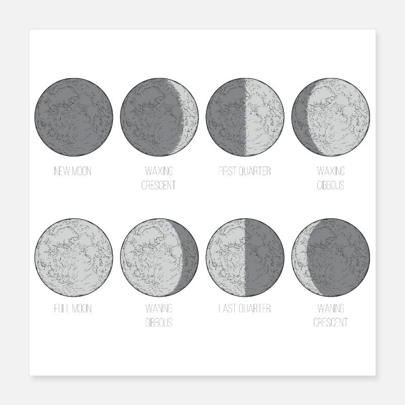Monochrome Moon Phases Grid Poster 16" x 16" (40x40 cm)