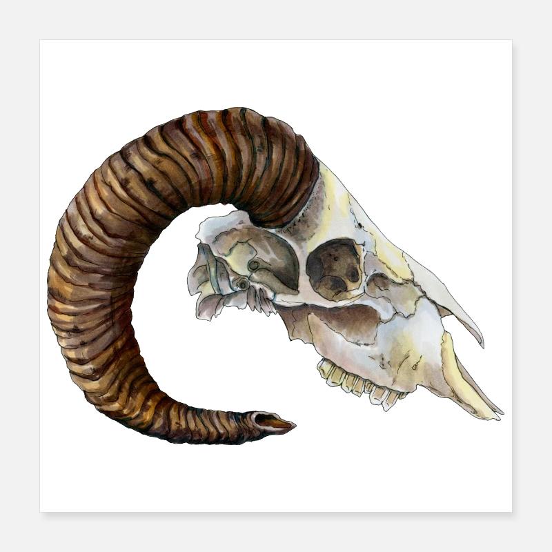 Conception du RPG fantastique LARP de Bull Skull Poster 40 x 40 cm