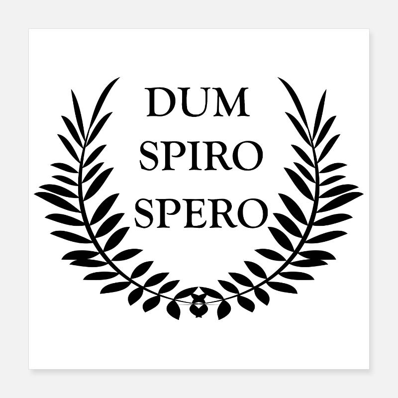 Dum Spiro Spero Poster 40 x 40 cm