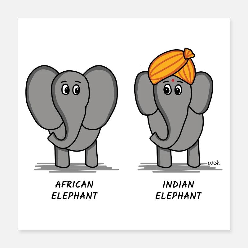 Afrikanischer Elefant, Indischer Elefant Poster 40x40 cm