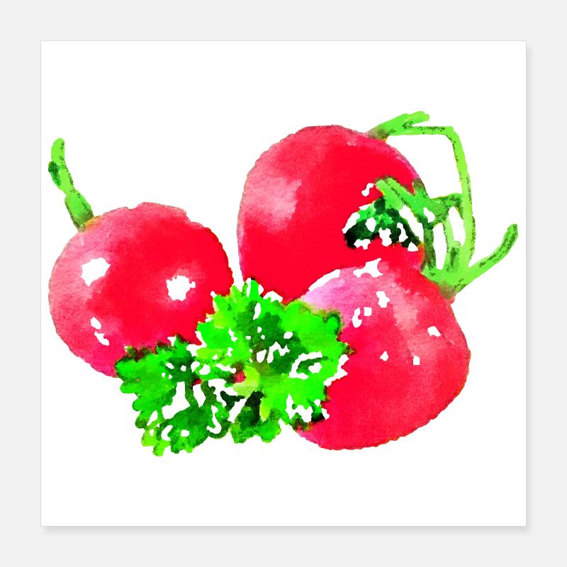 radieschen gemüse speise Poster 40x40 cm