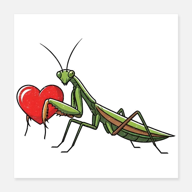 Praying Mantis Praying Mantis Heart Poster 16" x 16" (40x40 cm)