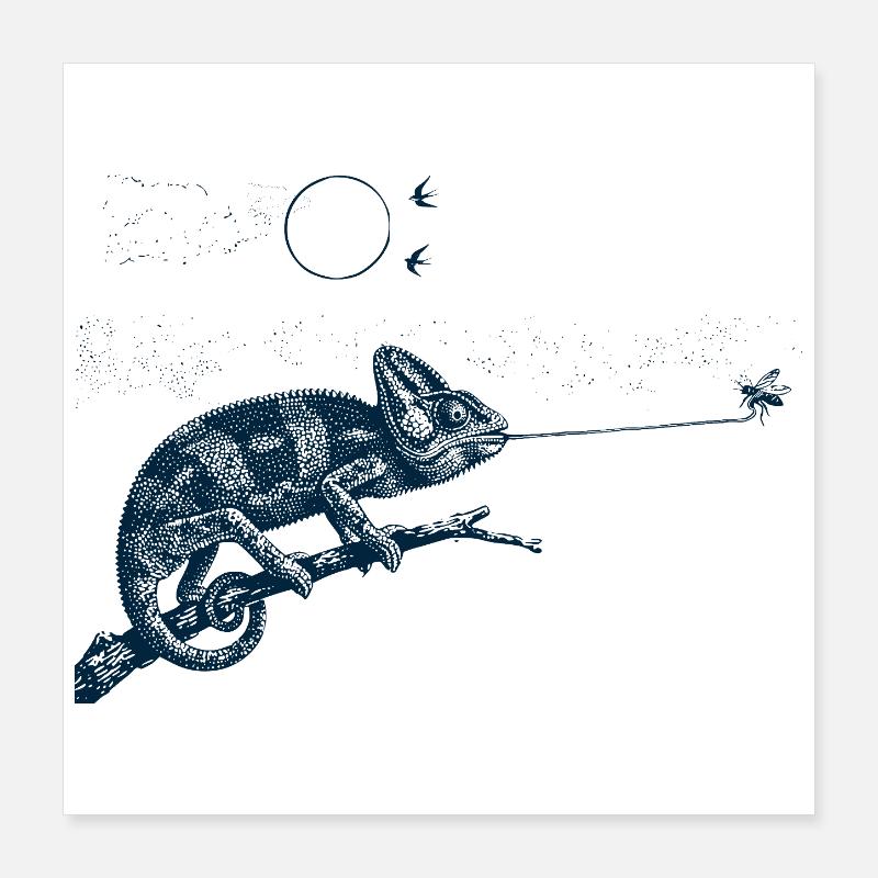 Caméléon gobemouche Poster 40 x 40 cm