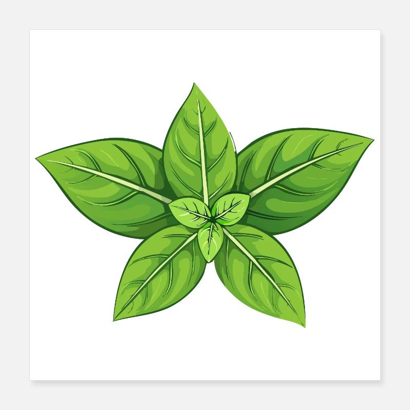 Basilic Poster 40 x 40 cm