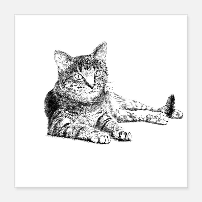 Cat Poster 40 x 40 cm