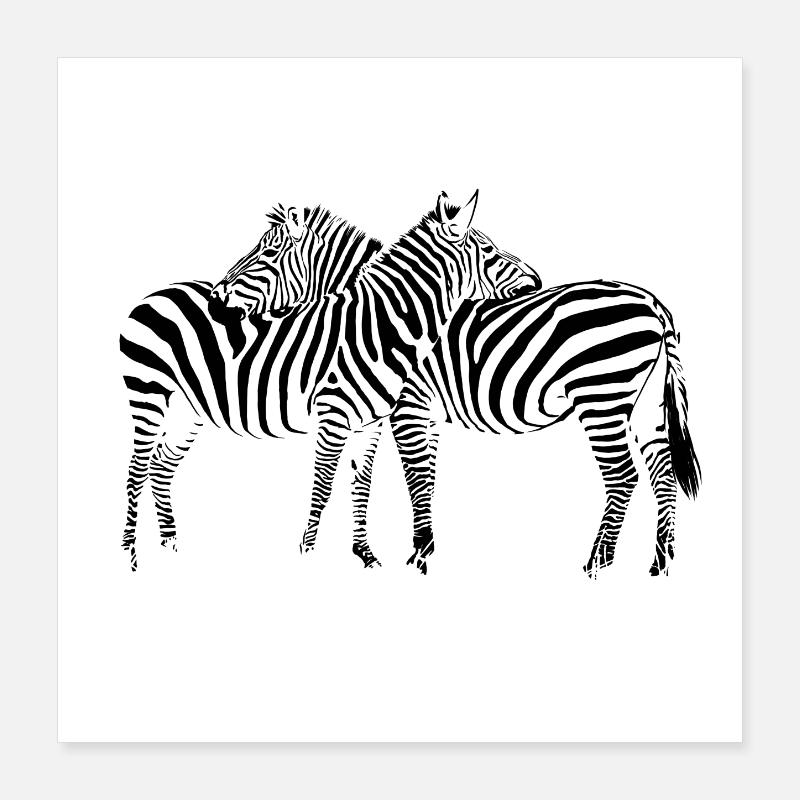 Zebra Poster 40 x 40 cm