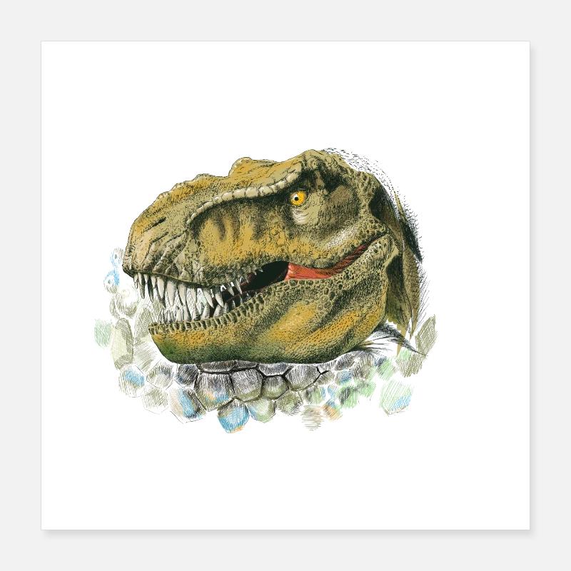 Dinosaur Poster 16" x 16" (40x40 cm)