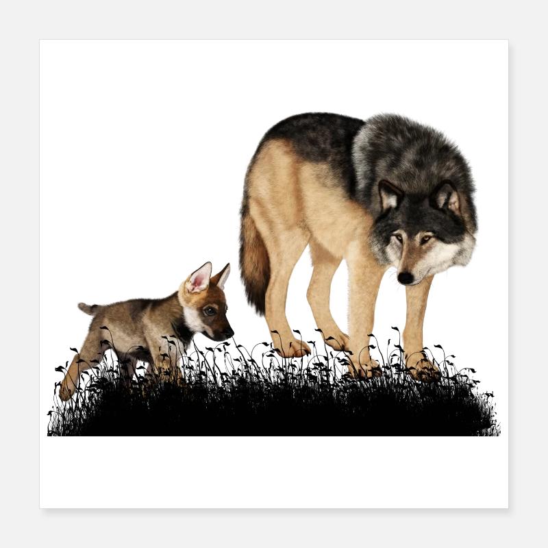 Mit dem Bär im Wald umwerfender Wolf Poster 40x40 cm