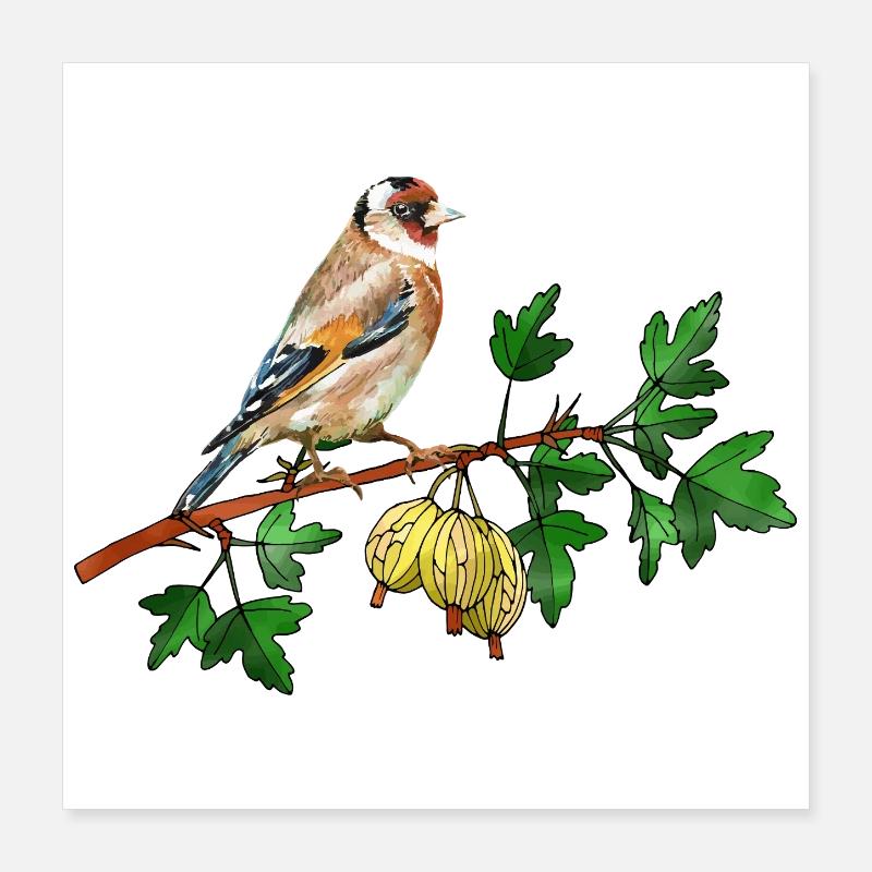 Bunter Vogel Poster 40x40 cm