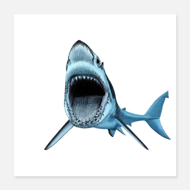 Requin Poster 40 x 40 cm
