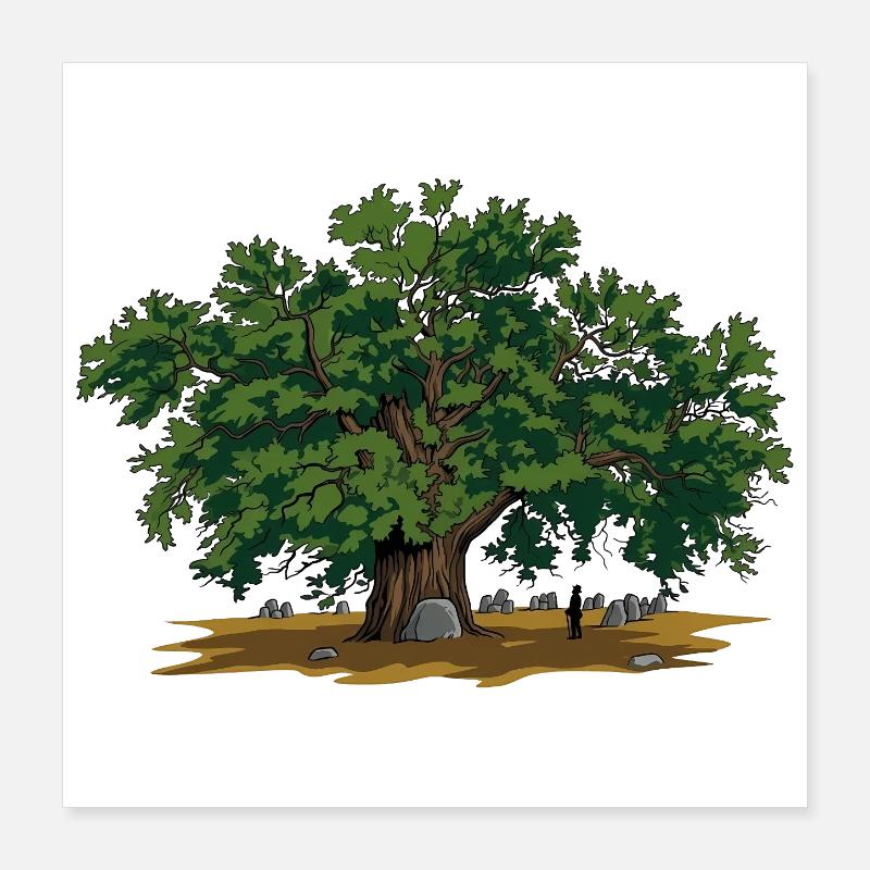 Eiche Poster 40x40 cm