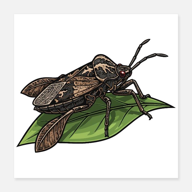 Punaise Eau Geante Giant Water Bug Leaf Poster 40 x 40 cm