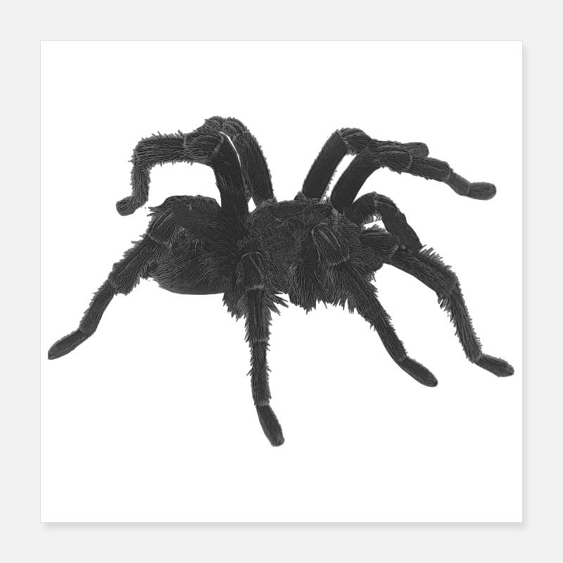 Tarantel design, geburtstagsgeschenk Mann, goth Poster 40x40 cm