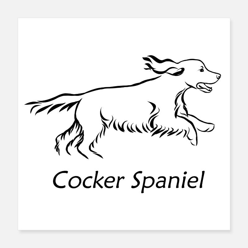 Cocker Spaniel Poster 40x40 cm