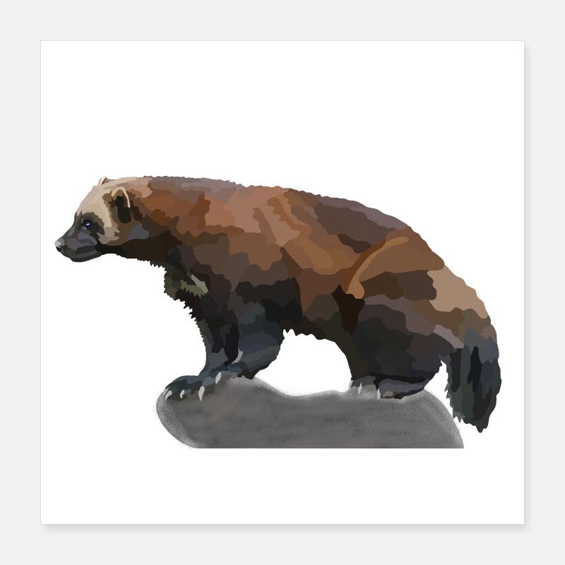 Verena, the wolverine Poster 16" x 16" (40x40 cm)