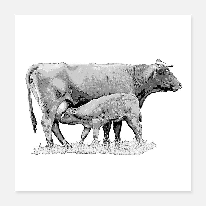 Vache avec veau – Graphique de ferme robuste Poster 40 x 40 cm