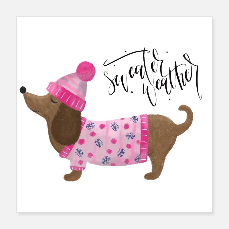 Teckel avec pull et chapeau Pull Météo rose Poster 40 x 40 cm