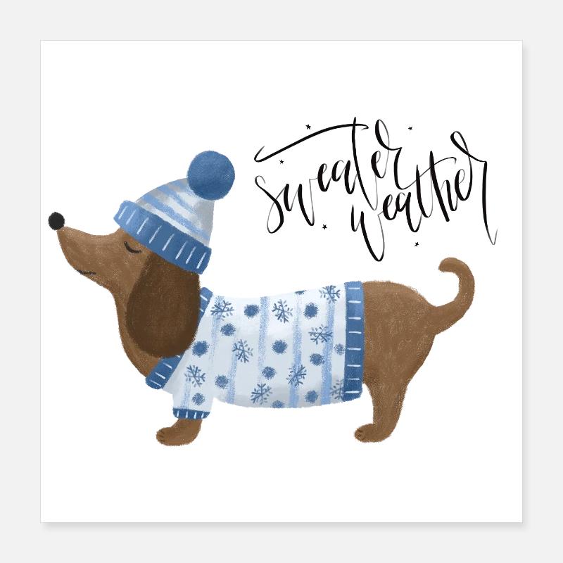 Teckel avec pull et chapeau Pull Météo bleu Poster 40 x 40 cm