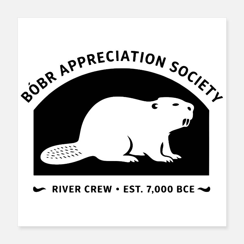 Équipe de la Société d’Appréciation des Bóbr River Poster 40 x 40 cm