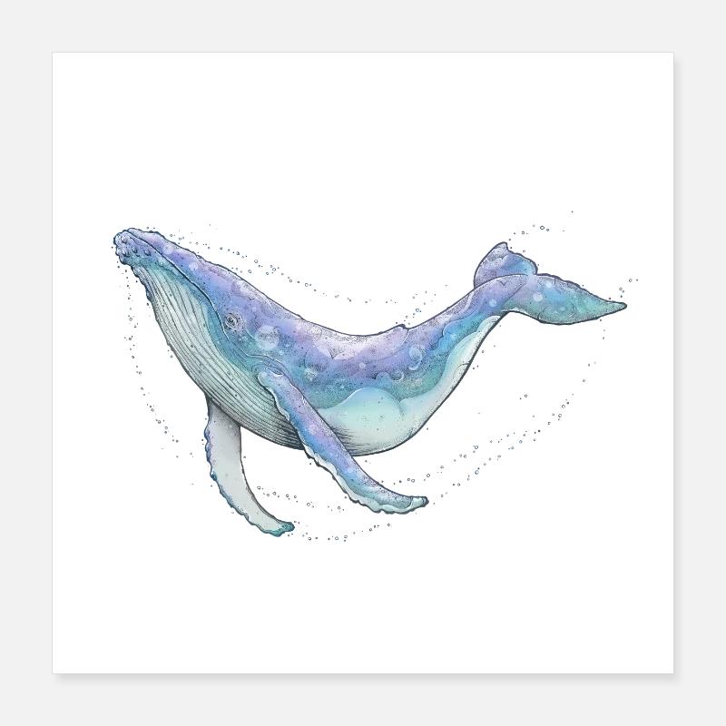 Baleine à bosse Poster 40 x 40 cm