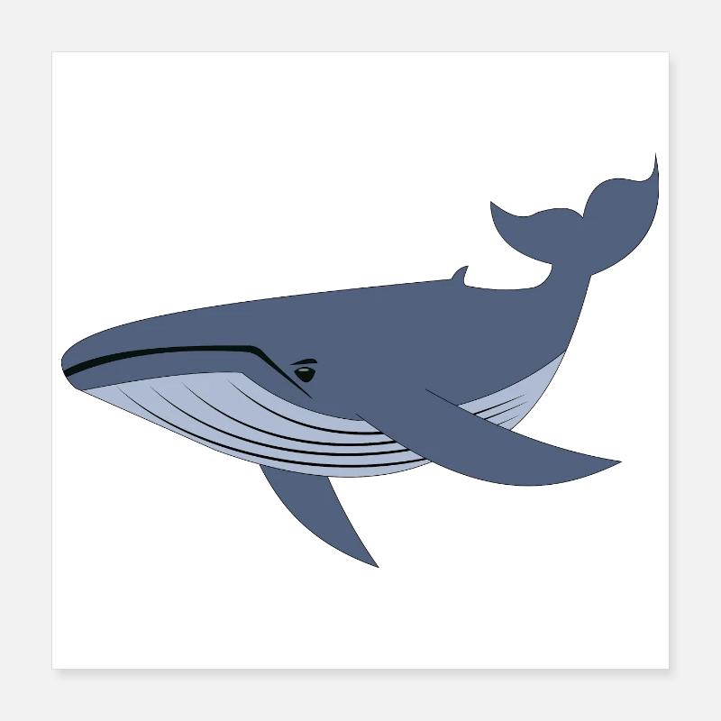 Baleine bleue, baleine Poster 40 x 40 cm