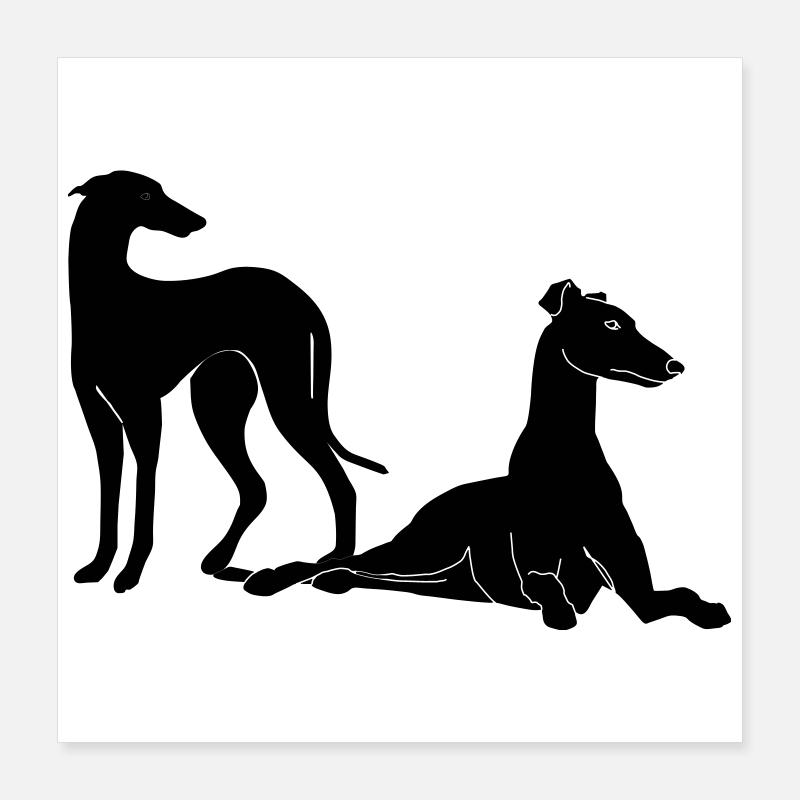 Gruppe Galgos Poster 40x40 cm
