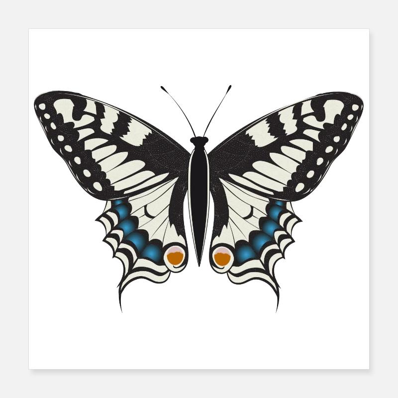 papillon machaon dessiné à la main Poster 40 x 40 cm