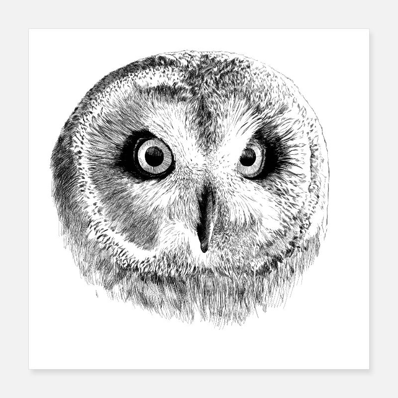 owl Poster 40 x 40 cm