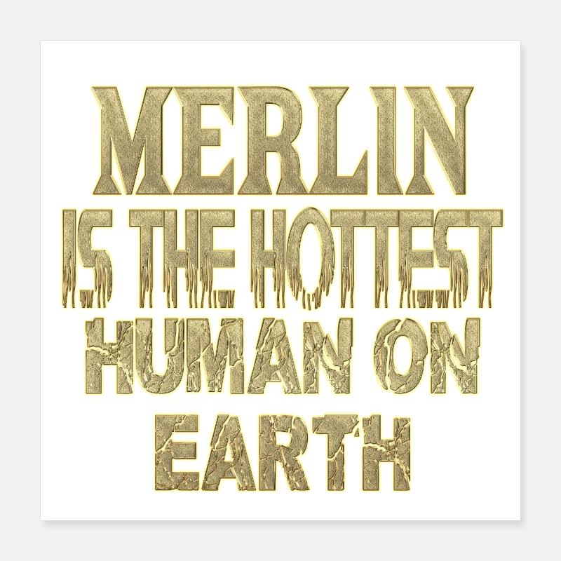 Merlin Poster 40 x 40 cm