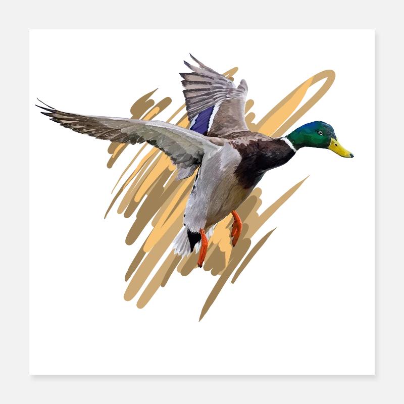 Duck Poster 16" x 16" (40x40 cm)