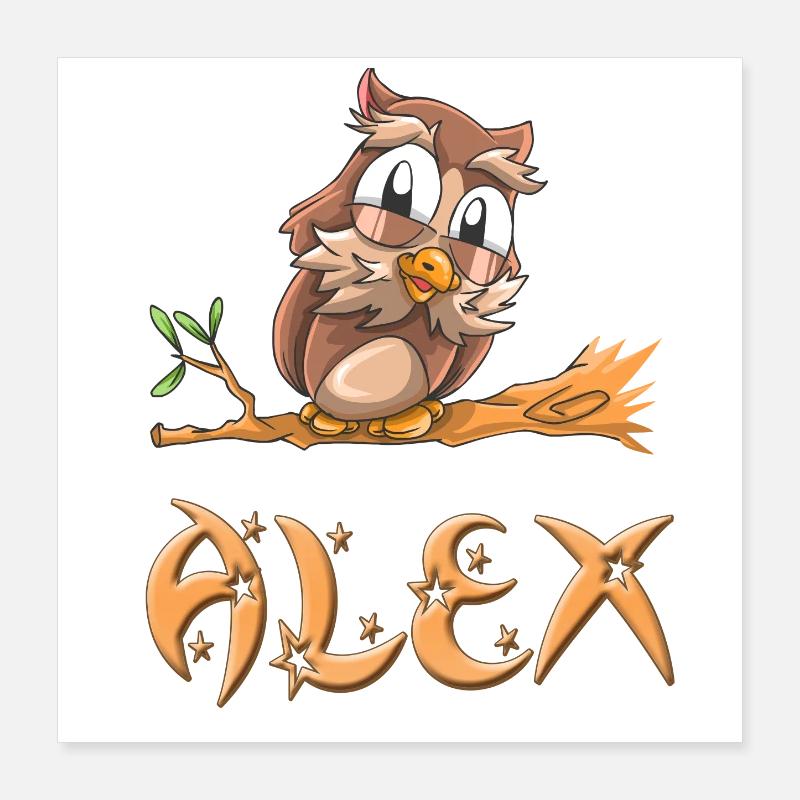 Eule Alex Poster 40x40 cm