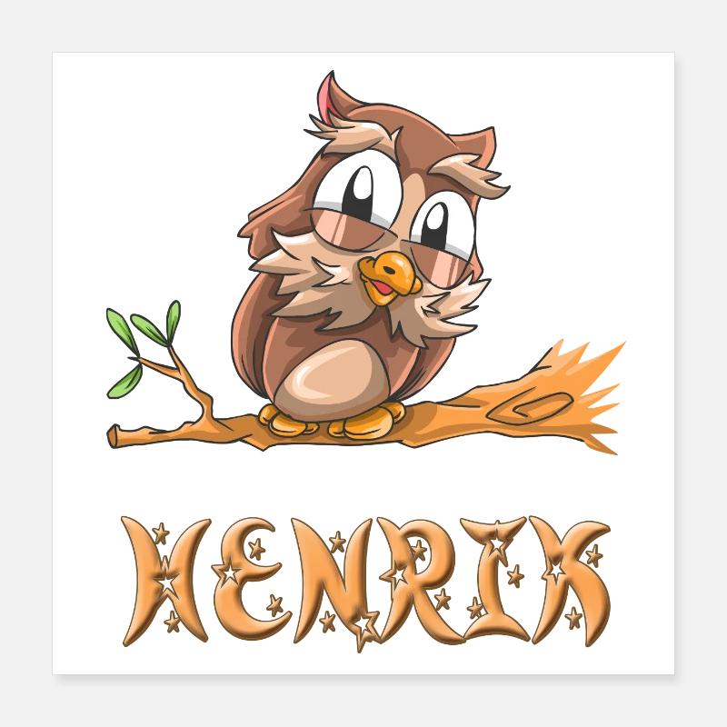 Hibou Henrik Poster 40 x 40 cm
