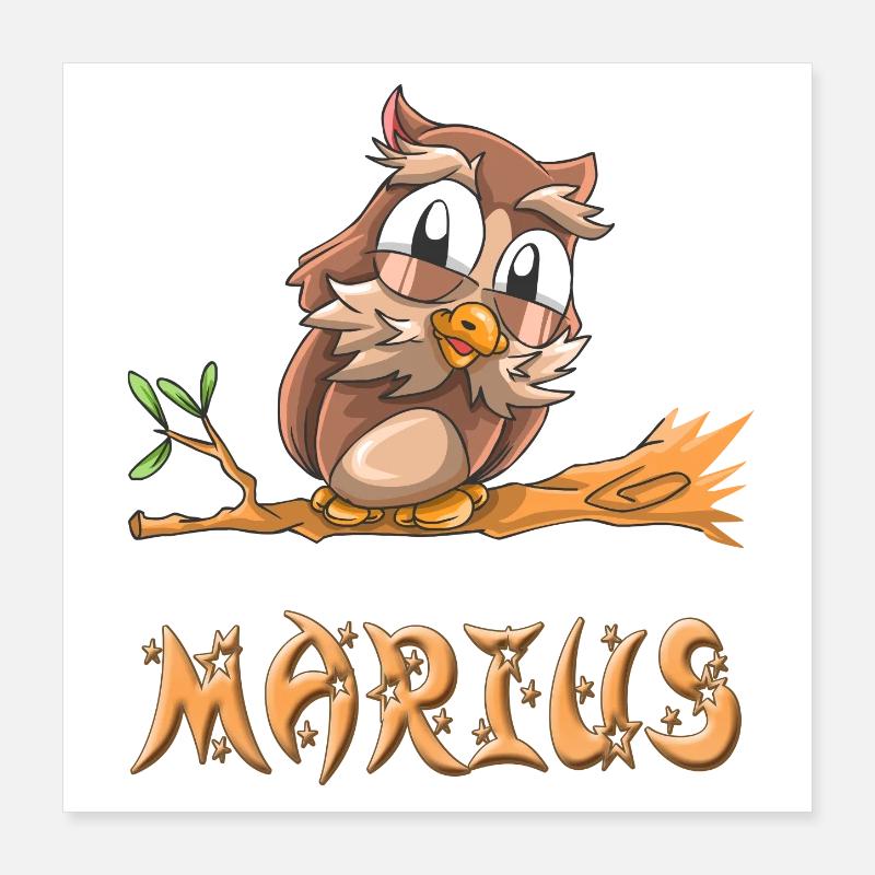 Eule Marius Poster 40x40 cm