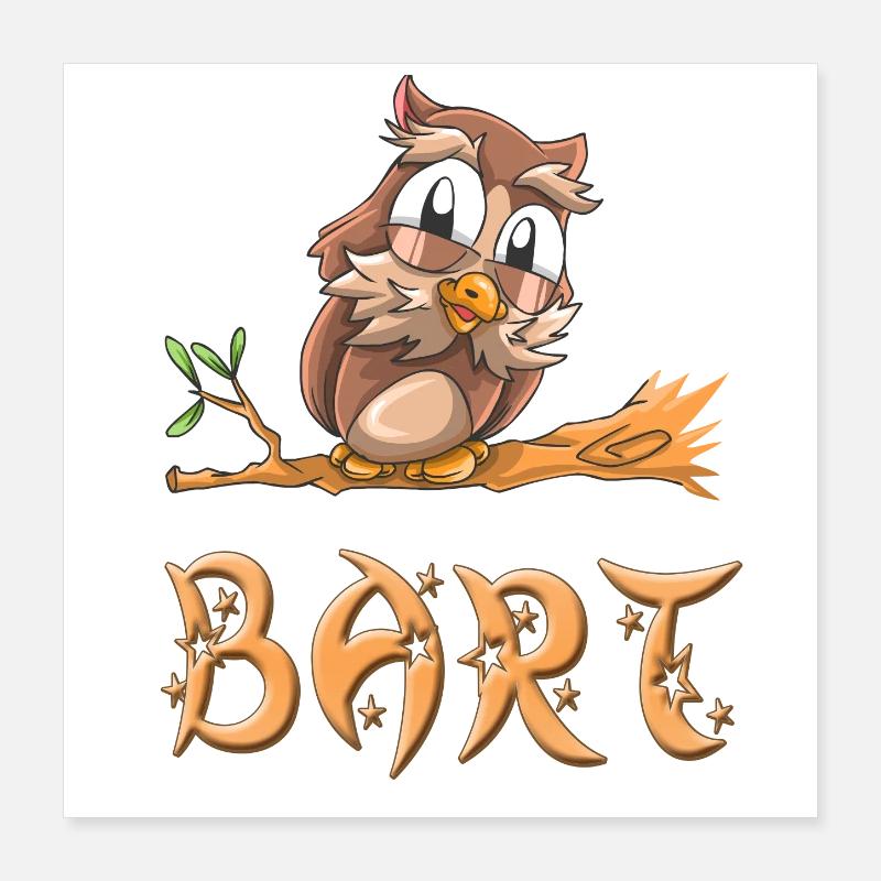Hibou Bart Poster 40 x 40 cm