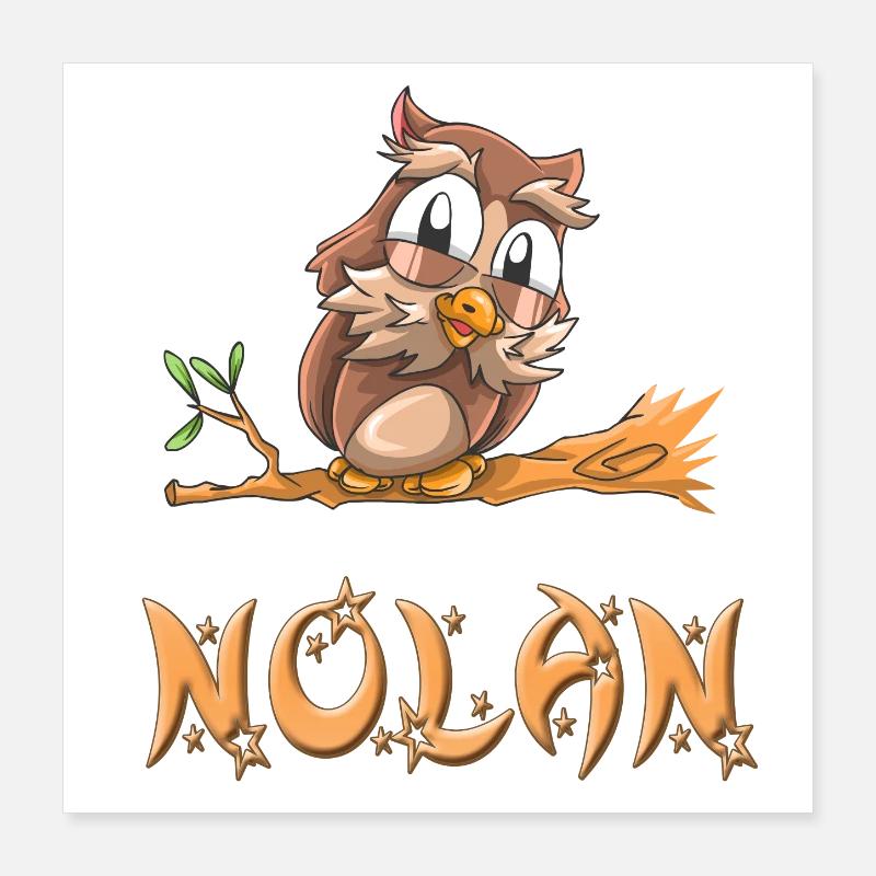 Nolan Owl Poster 40 x 40 cm